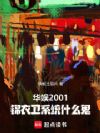 ����2001��������ϵͳʲô��