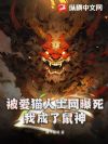 被爱猫人士网曝死,我成了鼠神